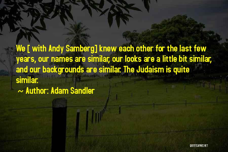 Sandler Quotes By Adam Sandler