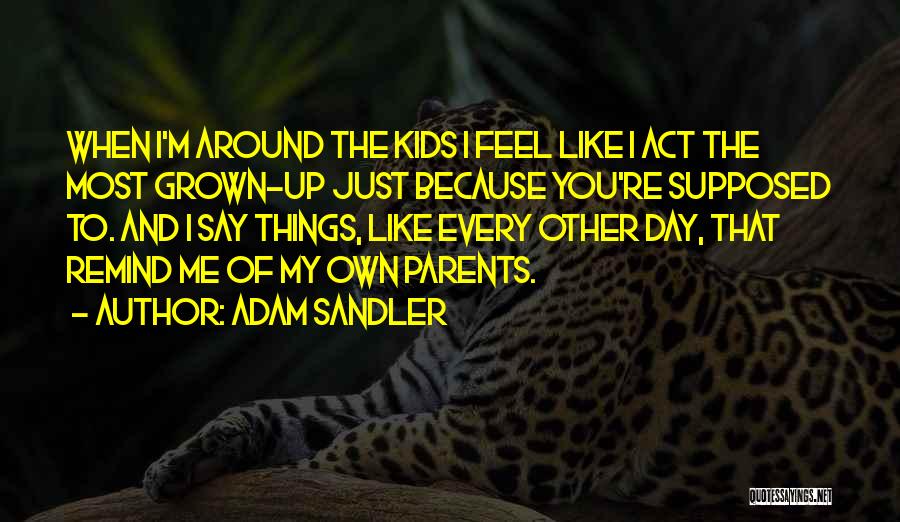 Sandler Quotes By Adam Sandler