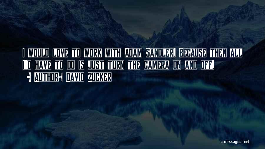 Sandler Quotes By David Zucker