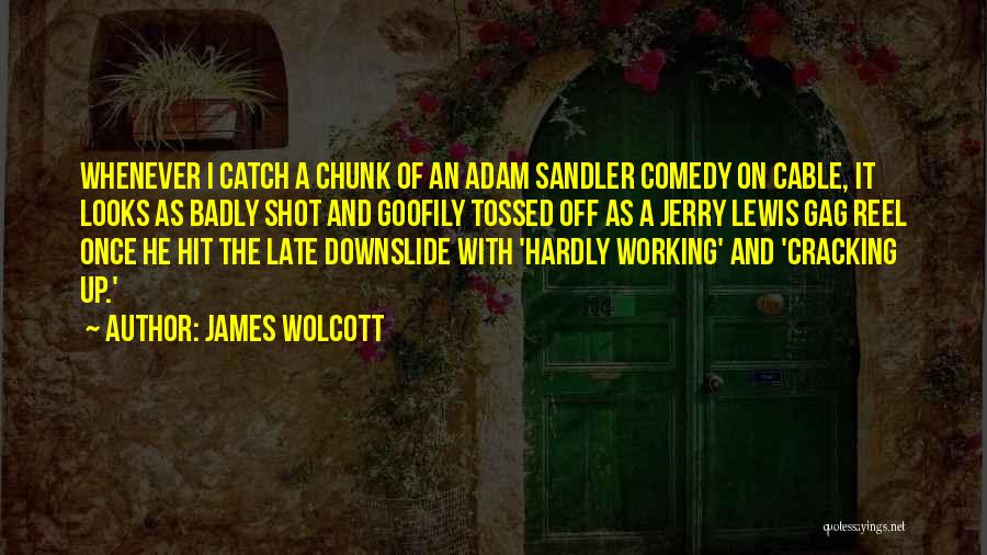 Sandler Quotes By James Wolcott