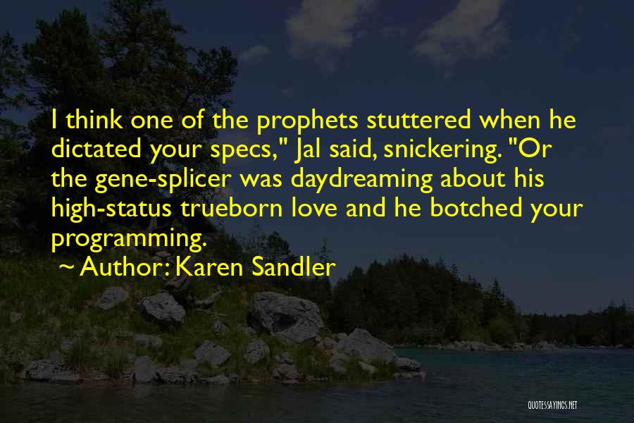 Sandler Quotes By Karen Sandler Sandler Quotes By Karen Sandler