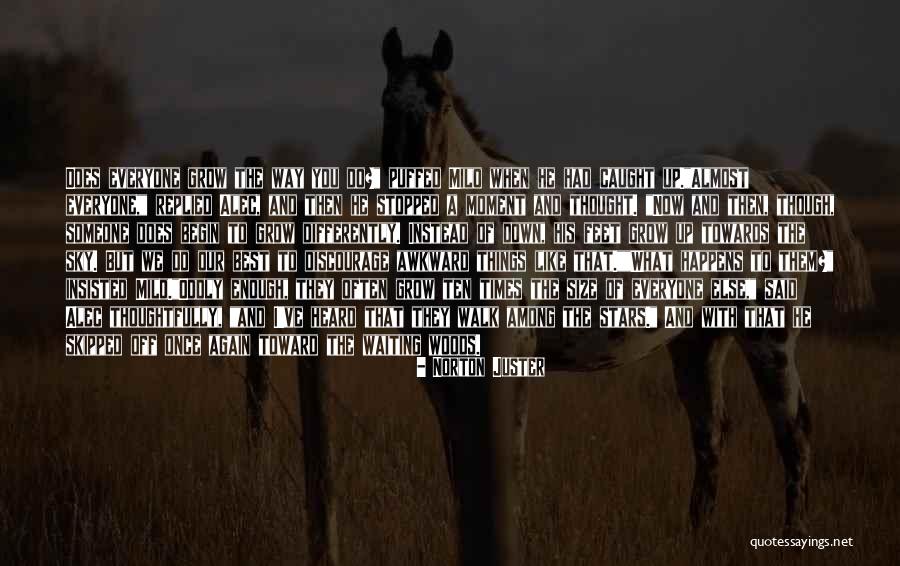 Sandlot Squints Quotes By Norton Juster Sandlot Squints Quotes By Norton Juster