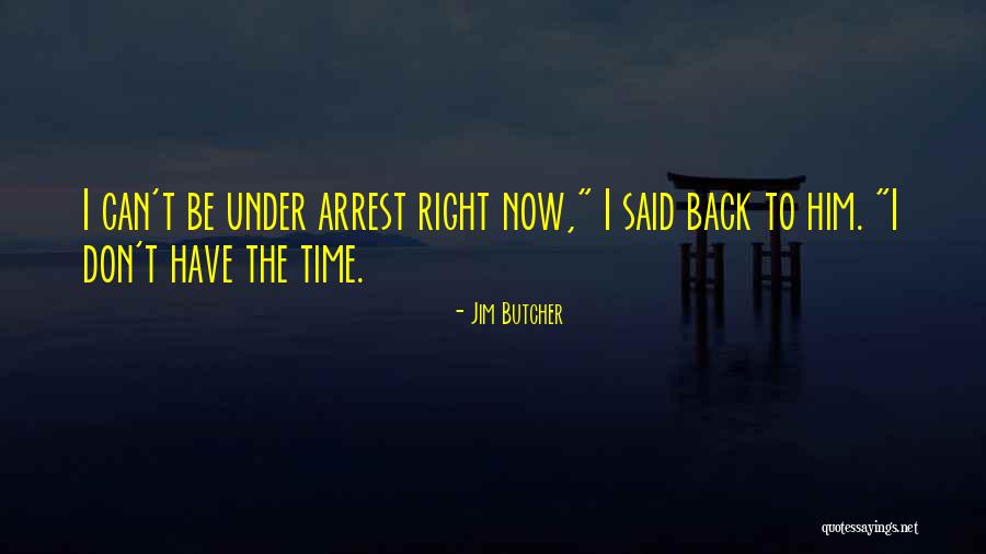 Sandmarc Quotes By Jim Butcher Sandmarc Quotes By Jim Butcher