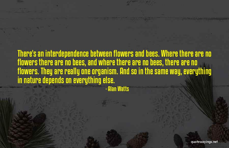 Sandnes Quotes By Alan Watts