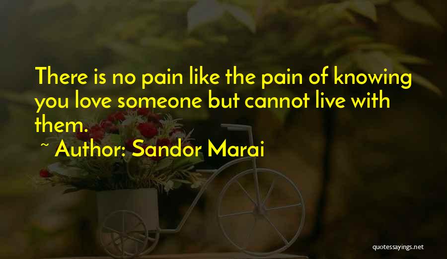 Sandor Marai Quotes 798547