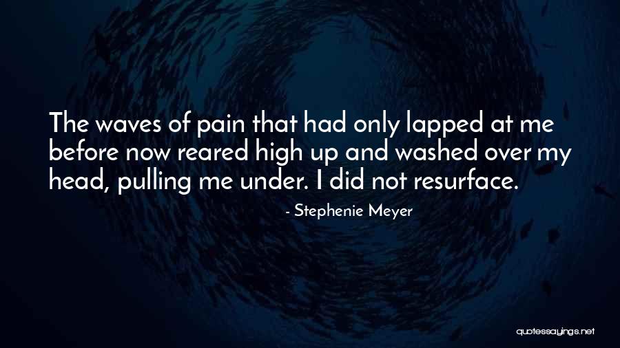 Sandore Leaves Quotes By Stephenie Meyer Sandore Leaves Quotes By Stephenie Meyer