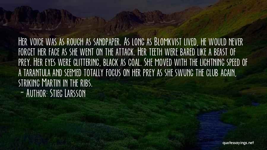 Sandpaper Quotes By Stieg Larsson