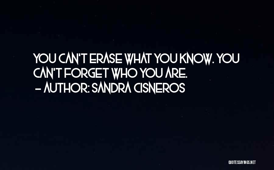 Sandra Cisneros Quotes 1784116