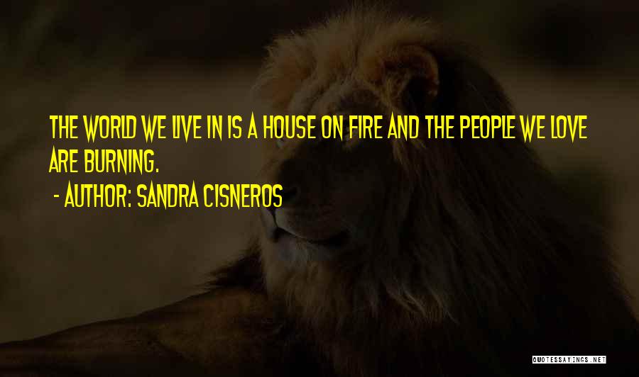 Sandra Cisneros Quotes 454833