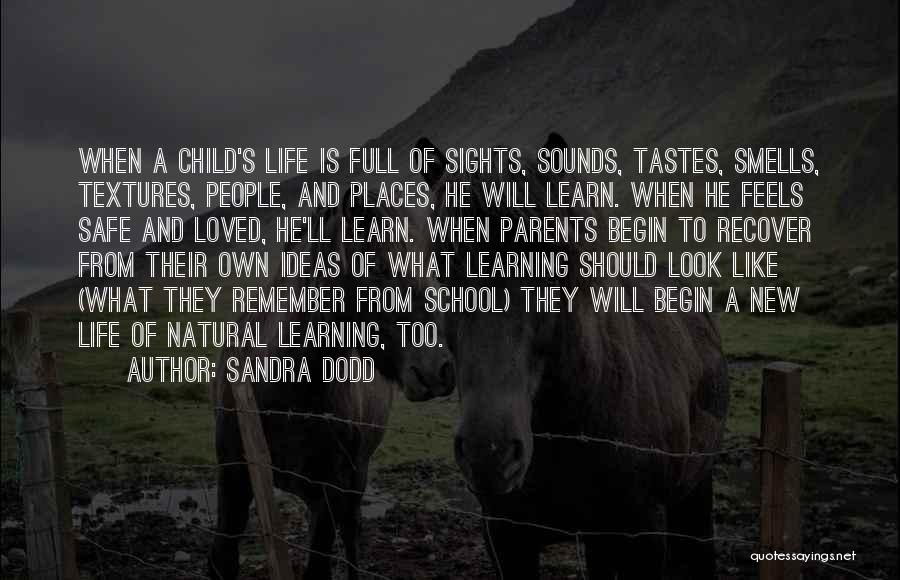 Sandra Dodd Quotes 2058660