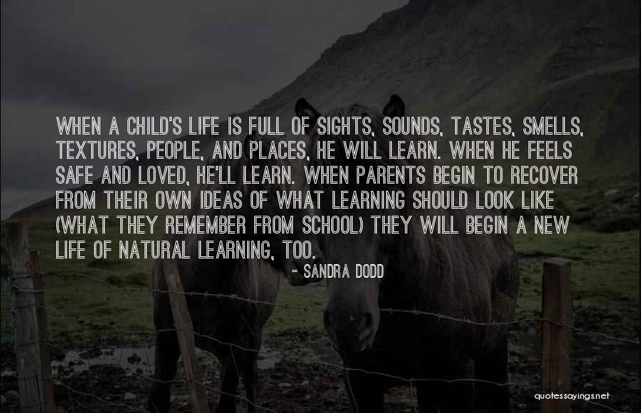 Sandra Dodd Quotes 2058660 Sandra Dodd Quotes 2058660