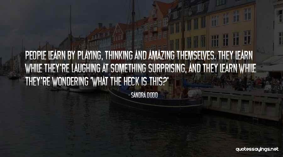 Sandra Dodd Quotes 630422 Sandra Dodd Quotes 630422