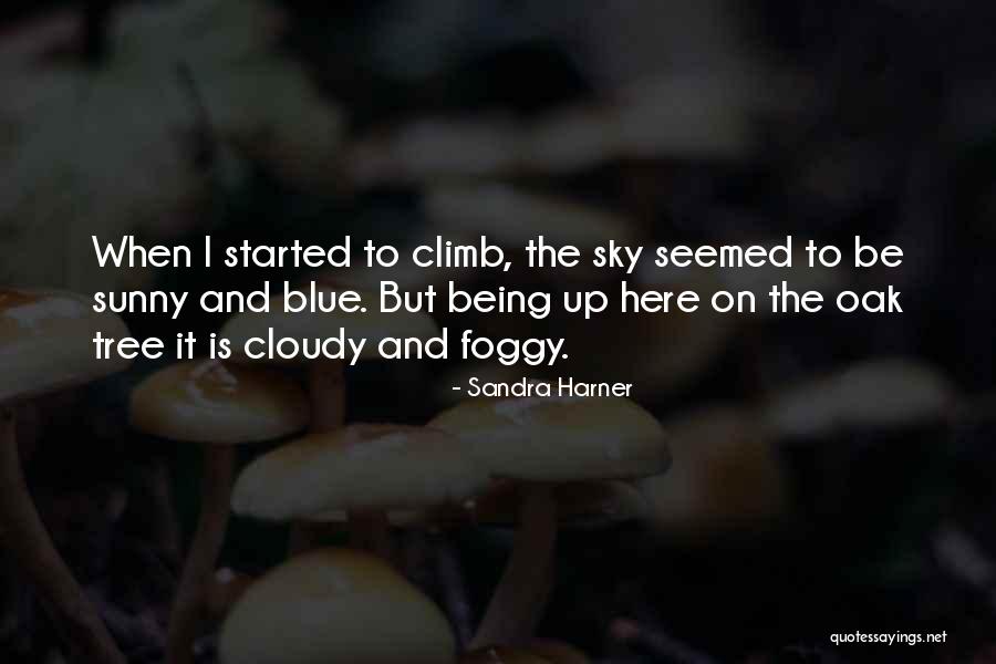 Sandra Harner Quotes 1450323