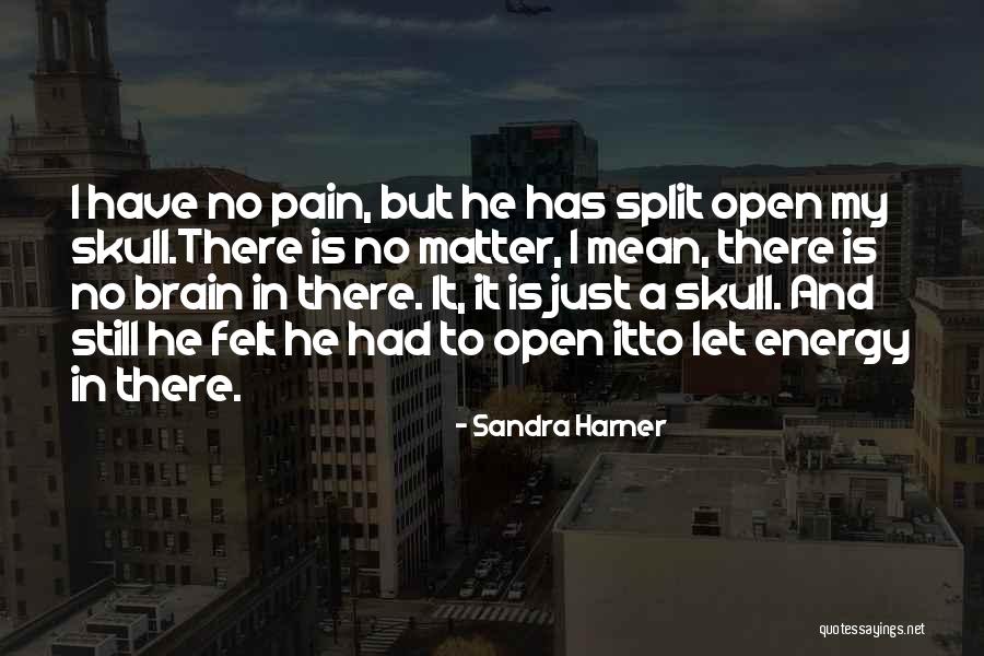 Sandra Harner Quotes 1518119