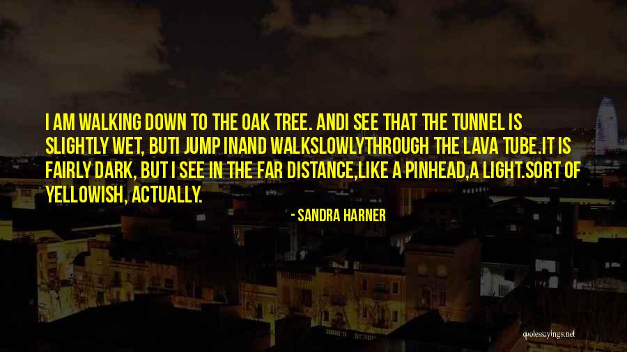 Sandra Harner Quotes 2074654