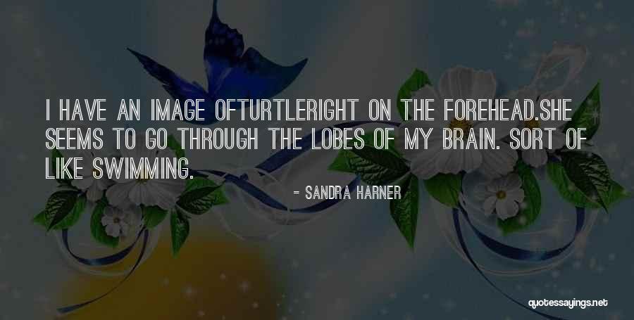 Sandra Harner Quotes 306195 Sandra Harner Quotes 306195