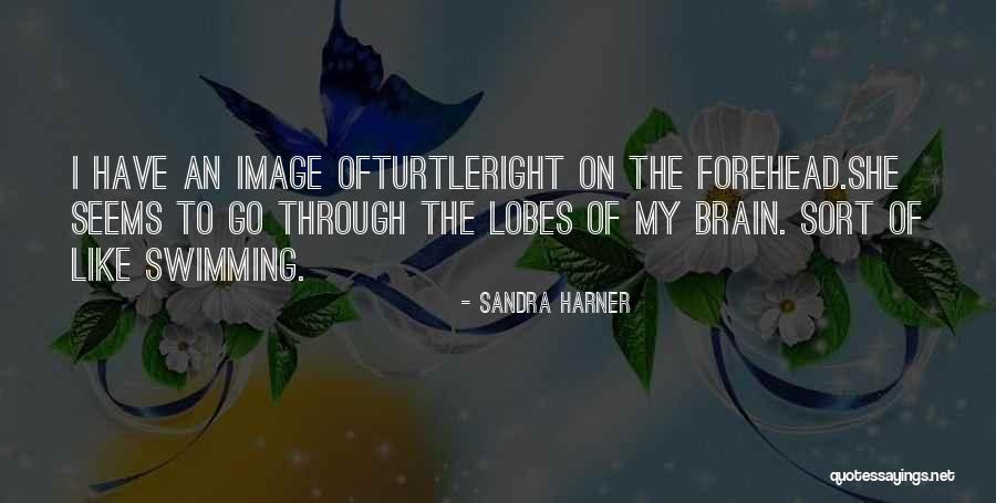 Sandra Harner Quotes 306195