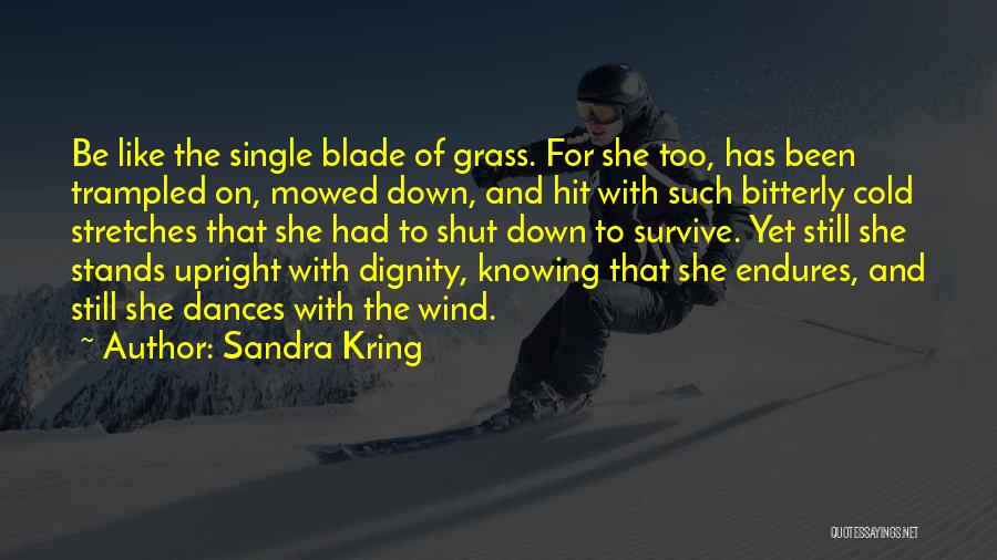 Sandra Kring Quotes 1836008