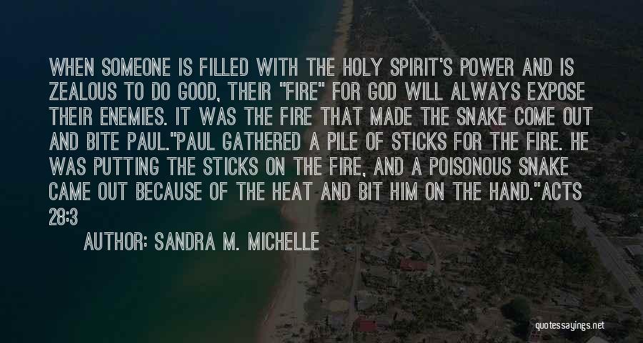 Sandra M. Michelle Quotes 1872154