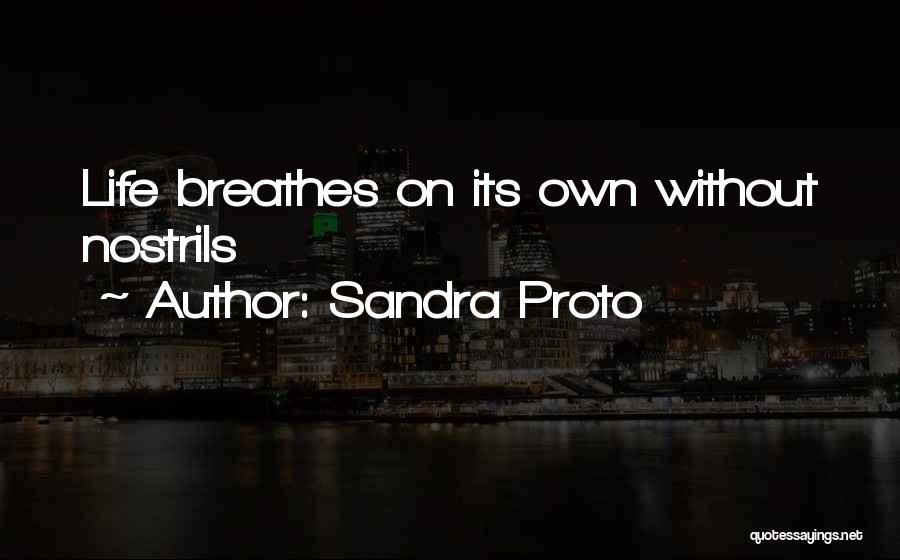 Sandra Proto Quotes 1121376