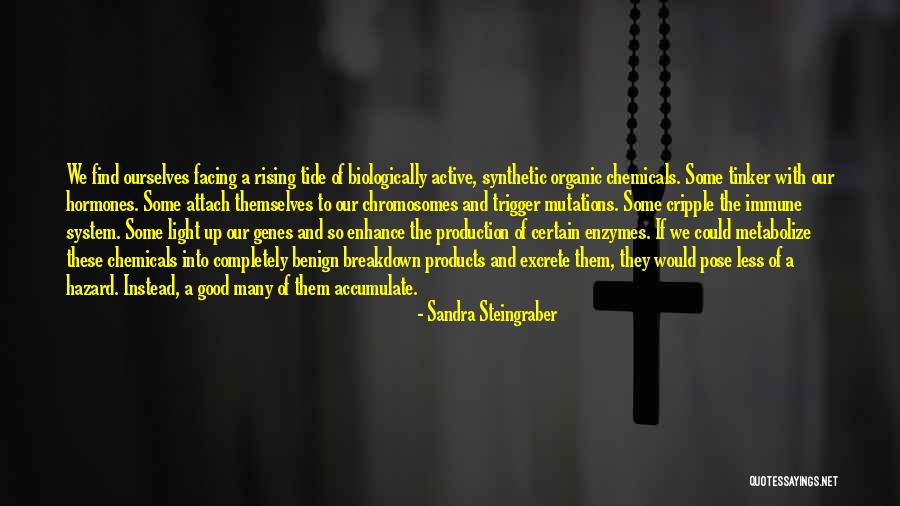 Sandra Steingraber Quotes 1799282 Sandra Steingraber Quotes 1799282