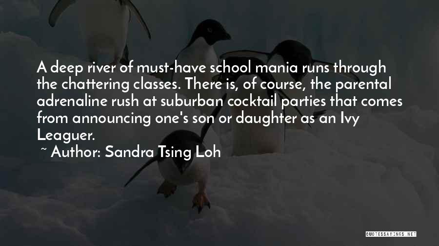 Sandra Tsing Loh Quotes 876186