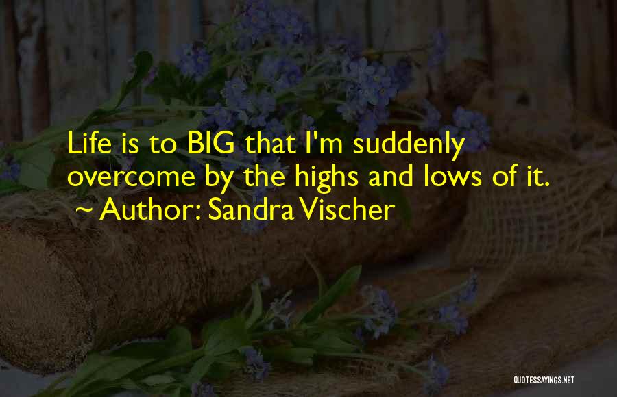 Sandra Vischer Quotes 818837