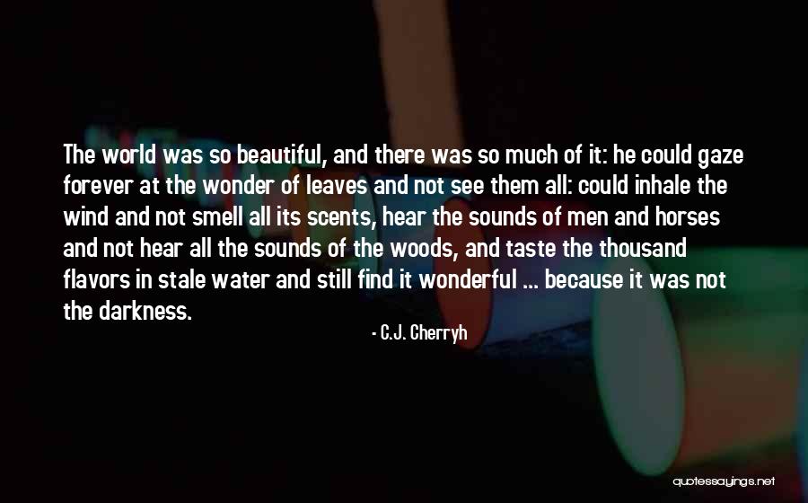 Sandrina Quotes By C.J. Cherryh Sandrina Quotes By C.J. Cherryh