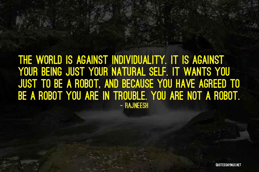 Sandrinha Videos Quotes By Rajneesh Sandrinha Videos Quotes By Rajneesh
