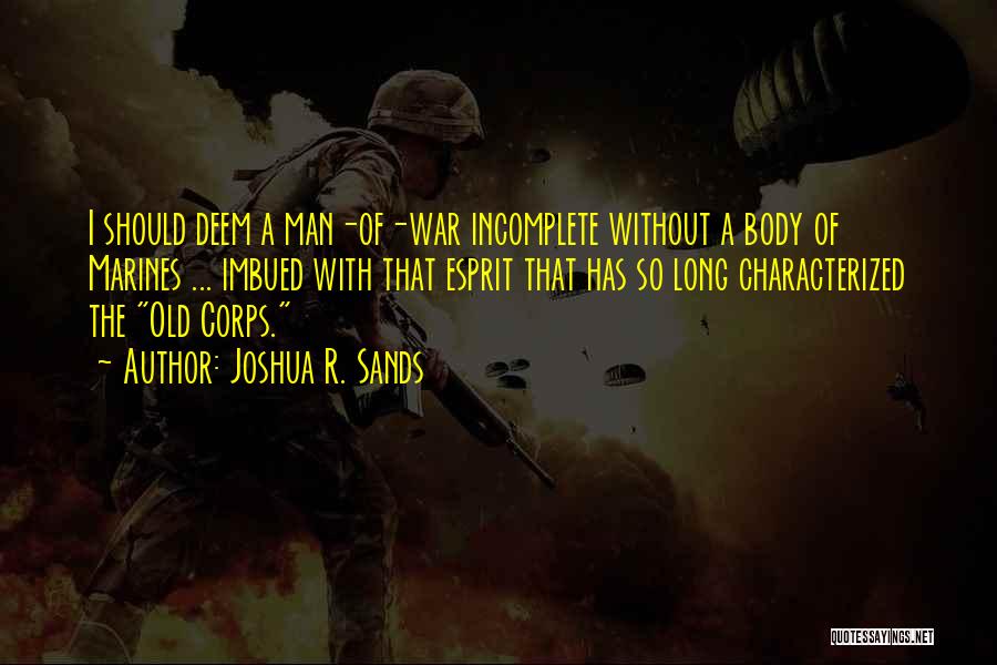 Sands Quotes By Joshua R. Sands