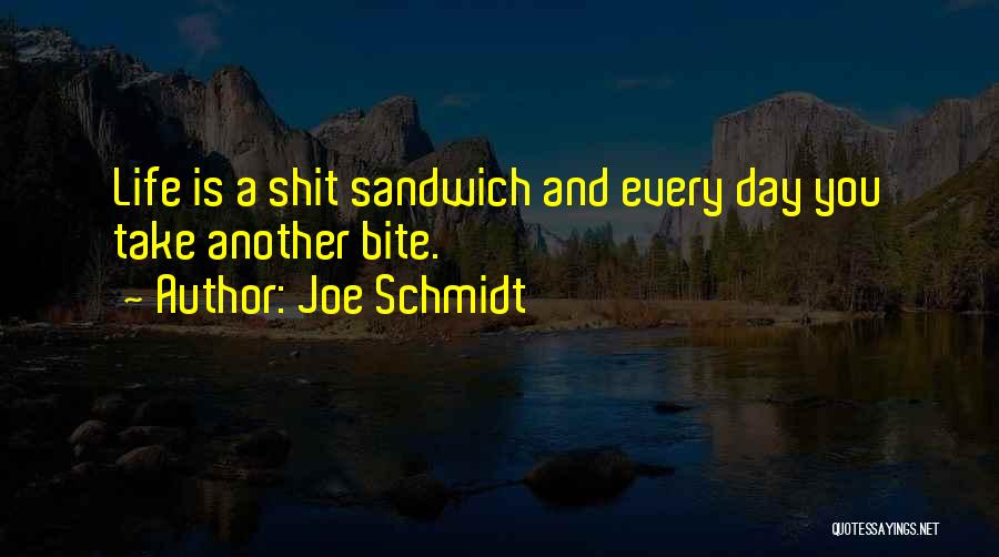 Sandwich Day Quotes By Joe Schmidt