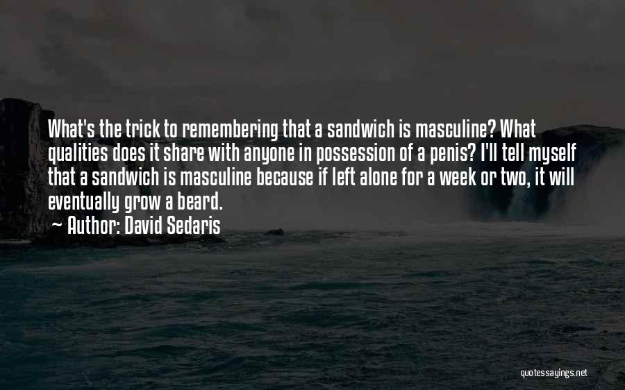 Sandwich Quotes By David Sedaris