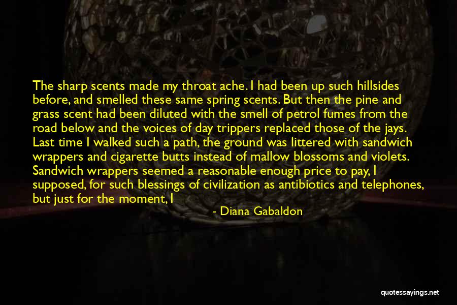 Sandwich Quotes By Diana Gabaldon Sandwich Quotes By Diana Gabaldon