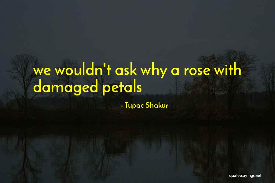Sandwood Auto Quotes By Tupac Shakur Sandwood Auto Quotes By Tupac Shakur