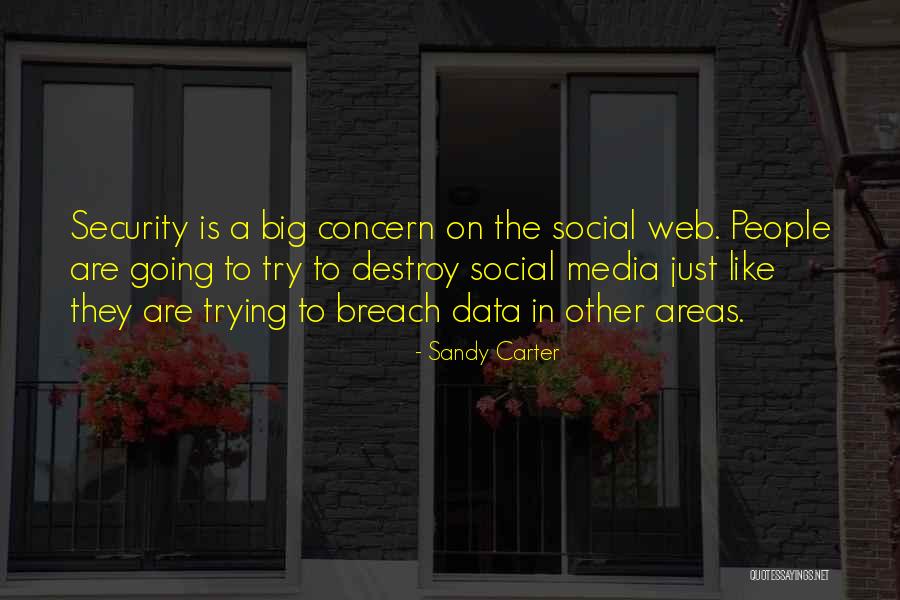 Sandy Carter Quotes 1301507 Sandy Carter Quotes 1301507