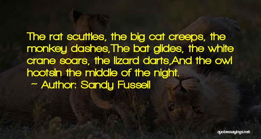 Sandy Fussell Quotes 839257