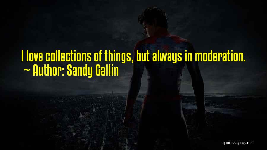 Sandy Gallin Quotes 1124248