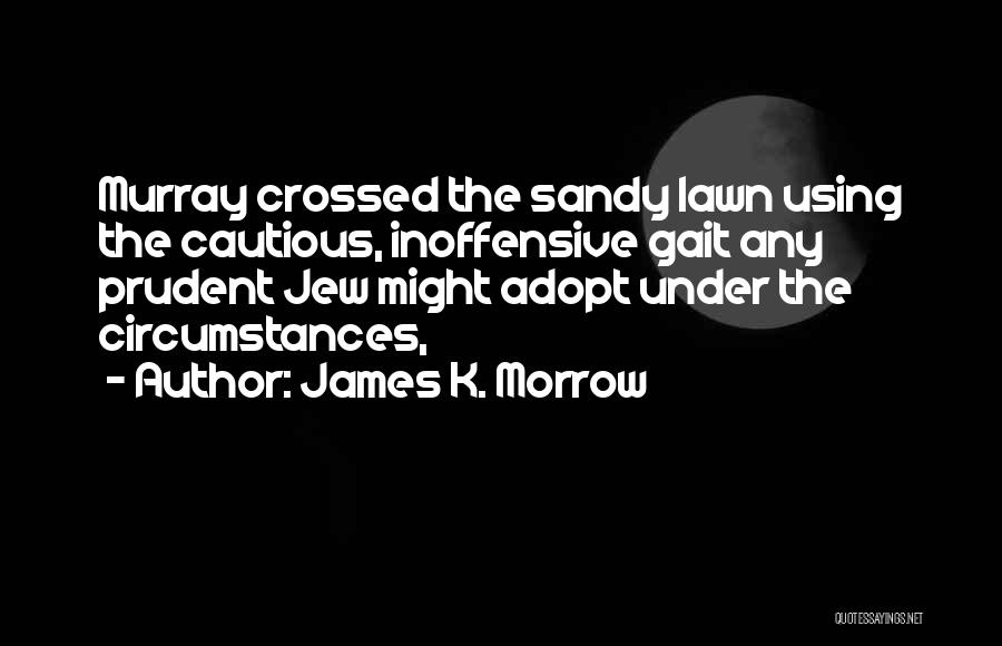 Sandy Quotes By James K. Morrow Sandy Quotes By James K. Morrow