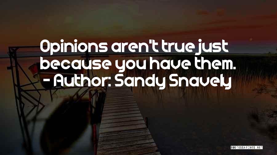 Sandy Quotes By Sandy Snavely