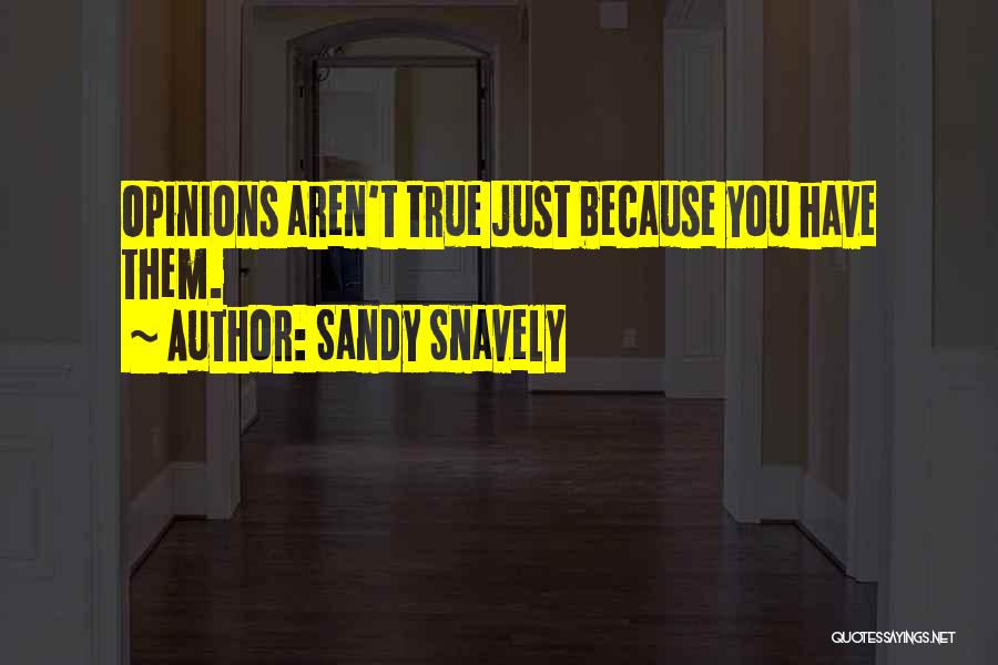 Sandy Snavely Quotes 366126