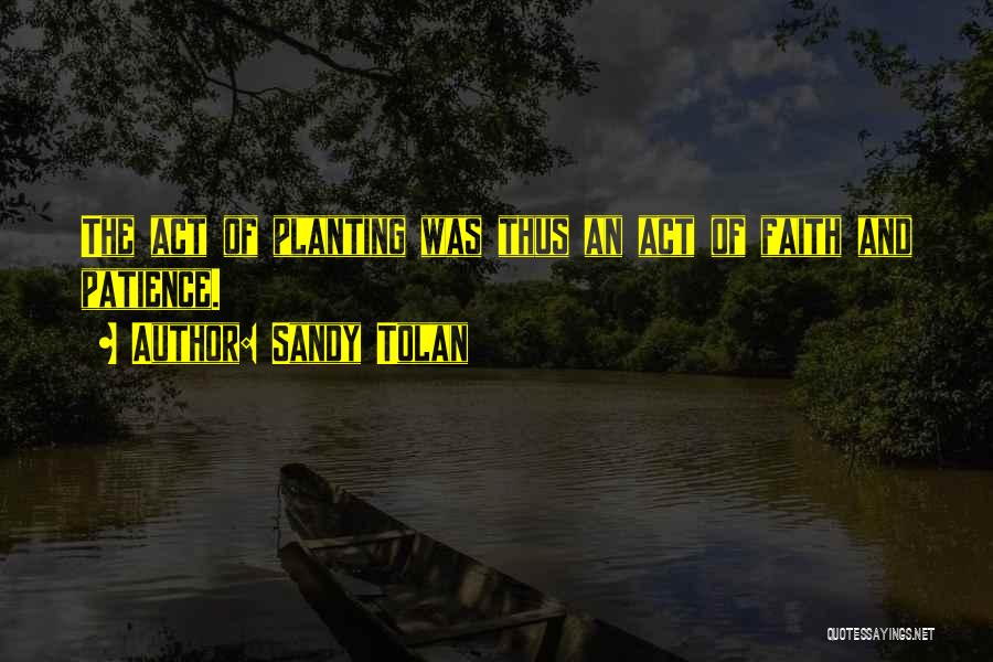 Sandy Tolan Quotes 1904330