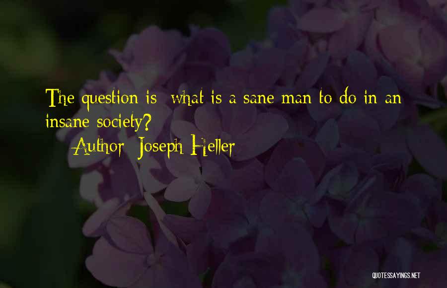 Sane Society Quotes By Joseph Heller