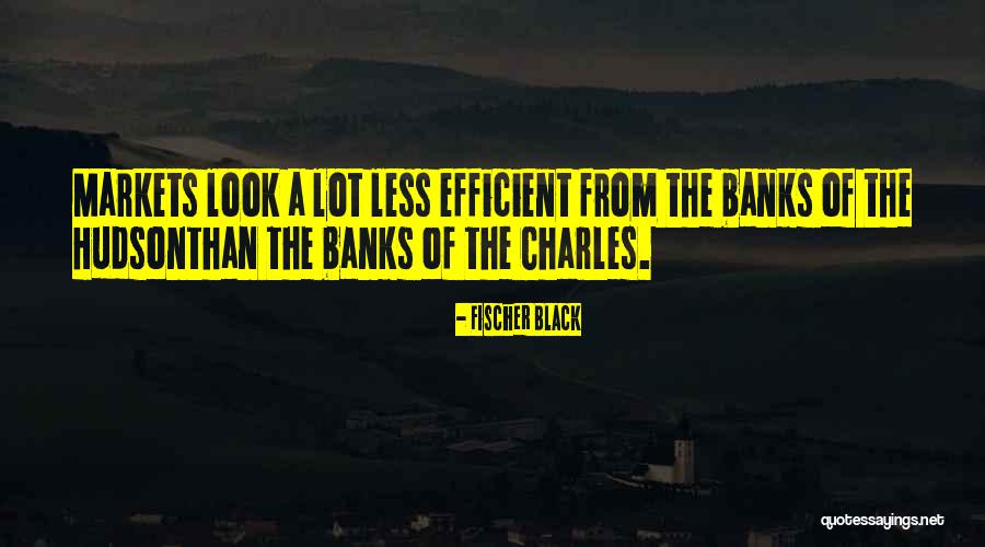 Saneador Quotes By Fischer Black Saneador Quotes By Fischer Black