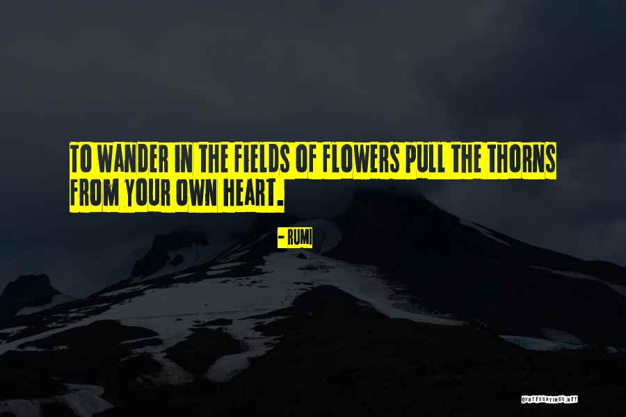 Sangesland Quotes By Rumi Sangesland Quotes By Rumi