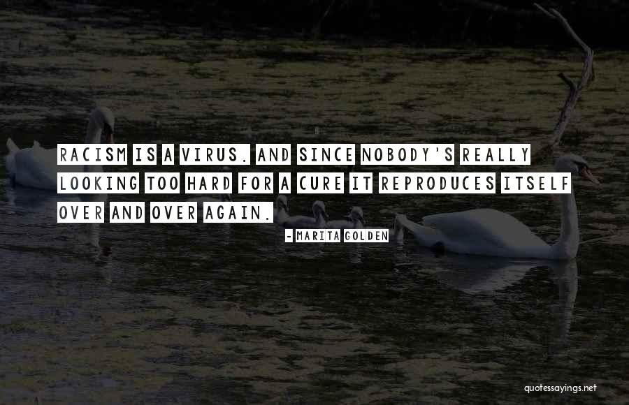 Sangiacomo Family San Francisco Quotes By Marita Golden Sangiacomo Family San Francisco Quotes By Marita Golden