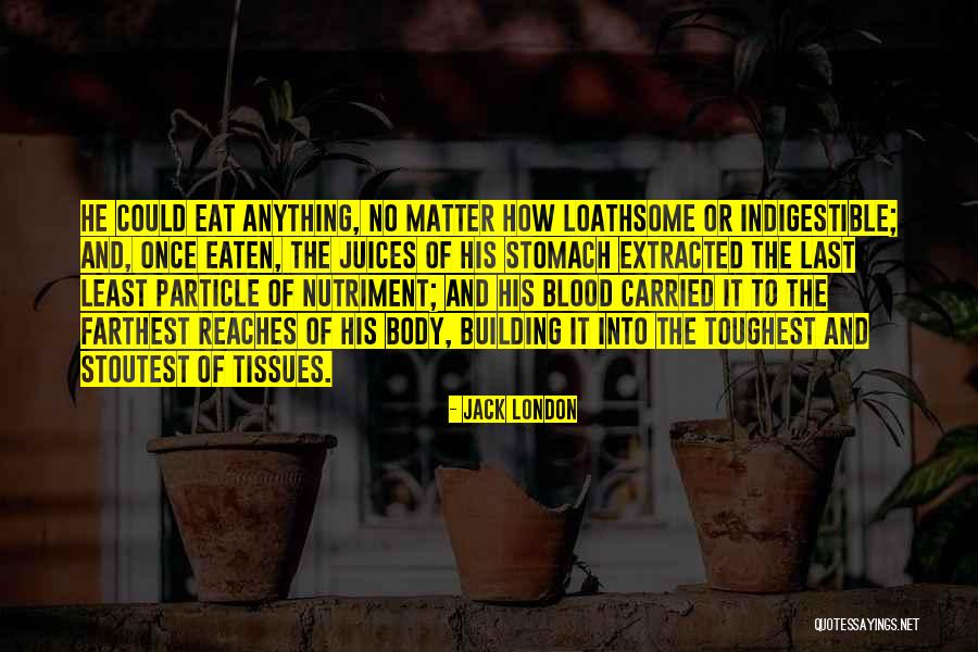 Sangiorgios Kinnelon Quotes By Jack London Sangiorgios Kinnelon Quotes By Jack London