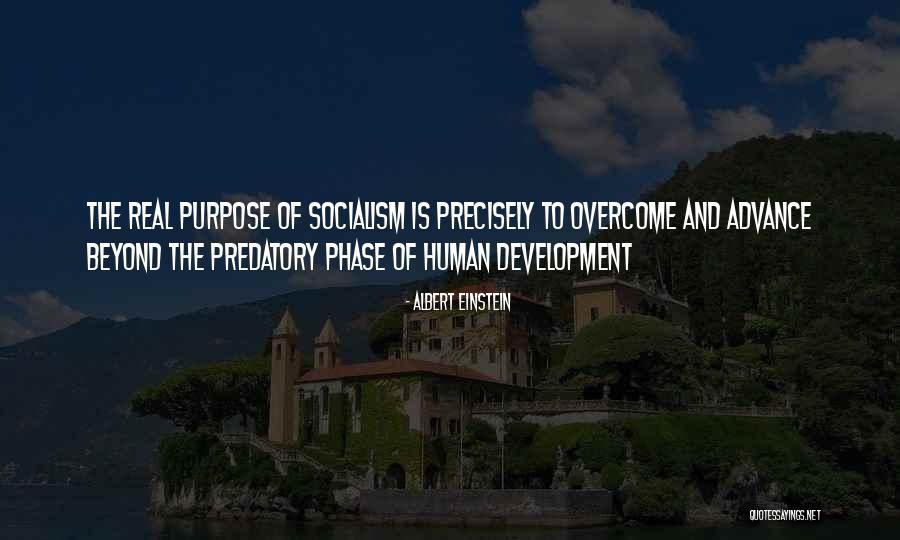 Sanguine Life Quotes By Albert Einstein Sanguine Life Quotes By Albert Einstein