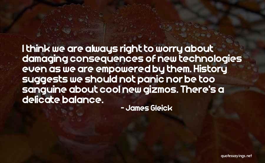 Sanguine Quotes By James Gleick Sanguine Quotes By James Gleick