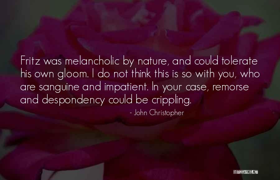 Sanguine Quotes By John Christopher