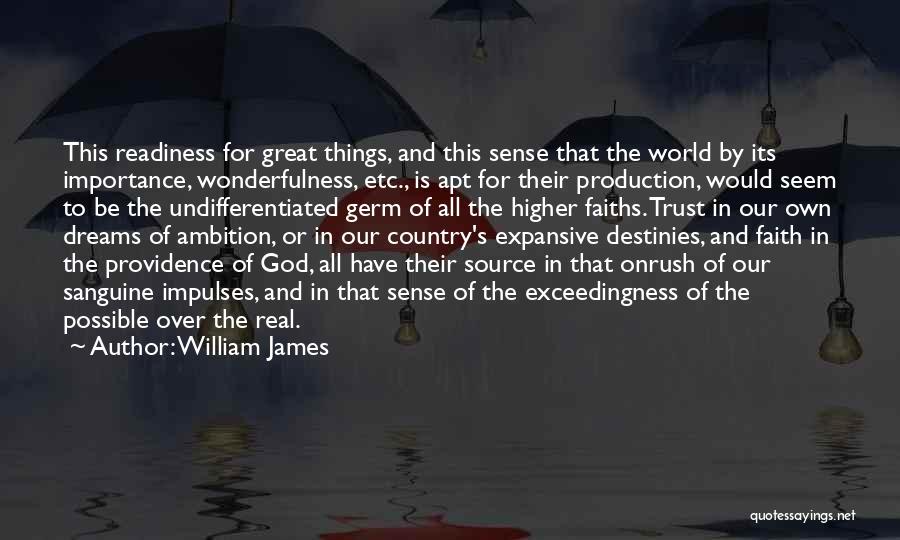 Sanguine Quotes By William James